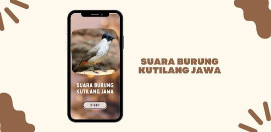 Suara Burung Kutilang Jawa