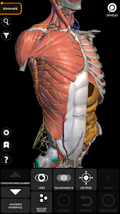 Anatomie - Atlas 3D