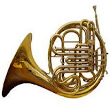 Musical Instruments Quiz icon