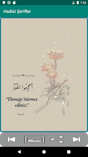 Hadisler Screen 2