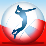 Cover Image of Télécharger Championnat de volley-ball 2014  APK