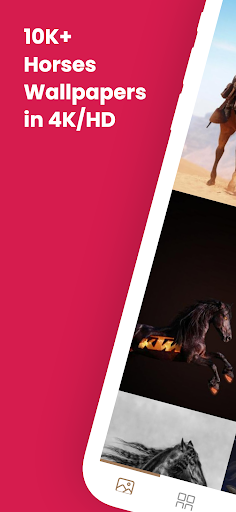Screenshot of Horse Wallpapers 4K - HD