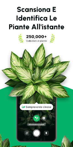 Anteprima dell'app