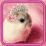 Cover Image of डाउनलोड Fluffy Princesses  APK