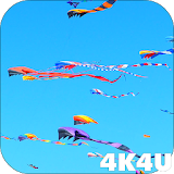 Colorful Kites 4K Video LWP icon