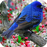 Puzzle - Birds icon