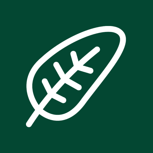 Visionnair logo