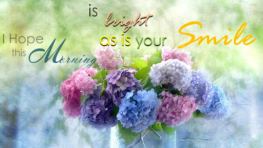 Polish Daily Wishes Messages Screen 3