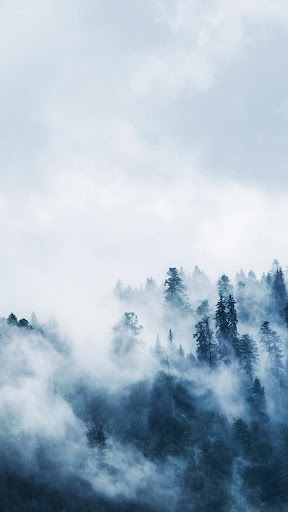 Android application winter snow wallpaper screenshort