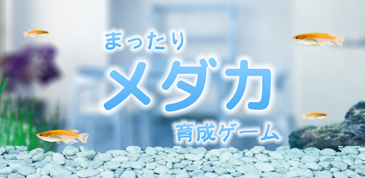 まったりメダカ育成ゲーム Google Play のアプリ