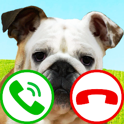 Imagem do ícone chamada falsa cachorro jogo