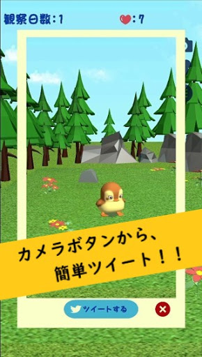 かもさんぽ　癒しの観察育成ゲーム Screen 3