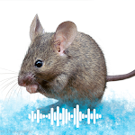 Cover Image of Download Mouse sounds Ringtones  APK