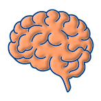 Brain Training,Memory Test