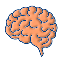 Brain Training,Memory Test