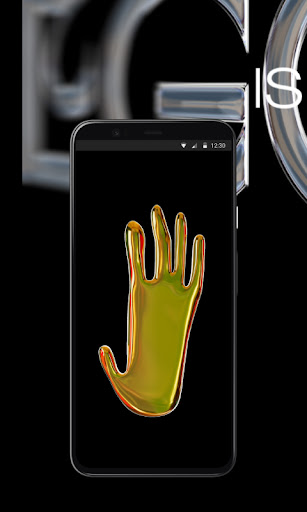 Android application BANDEREGO screenshort