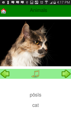 LifeSpark Developer App Screen 2
