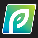 PP Wealth icon