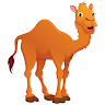 Camel Up Probabilities Tool