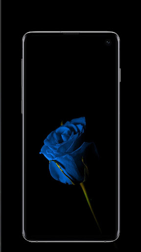 Download 4k Amoled Wallpaper Free For Android 4k Amoled Wallpaper Apk Download Steprimo Com