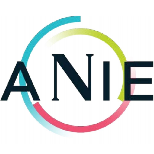 ANIE logo