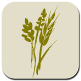 Wild by Nature icon