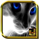 BLACK CATS WALLPAPER HD icon