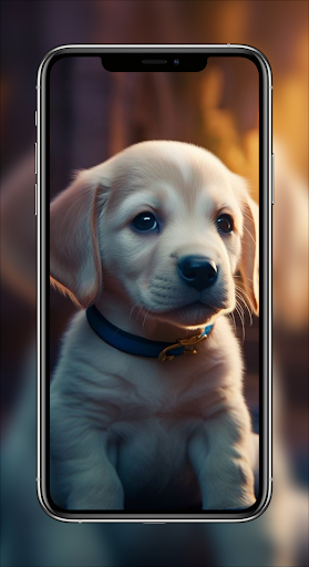 Puppy Wallpapers - Cute Puppy Screen 2