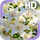 Lily Flower LWP icon