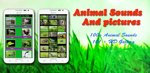 Animal Sounds on Windows PC Download Free  -  