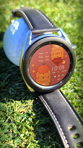 Tiger to blessed ZKin Watch screenshot 4