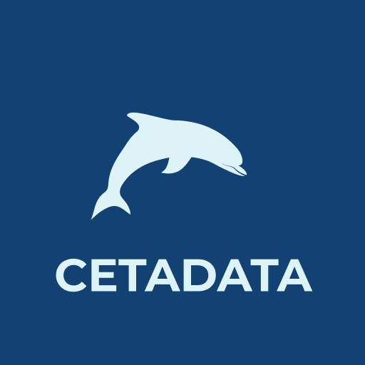 Ceta Data logo