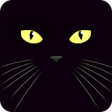 Black Cat Live Wallpaper icon