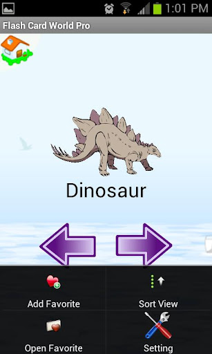 FlashCard World Pro Screen 3