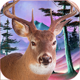 Hunting Animals in Jungle icon