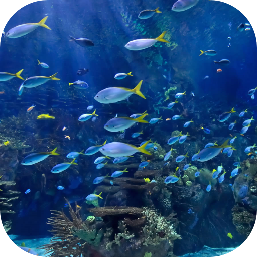 Real Aquarium Video Wallpaper logo