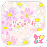 Flower wallpaper-Marguerite- icon