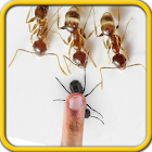 Ant Smasher 2 - Kill them all 3.4