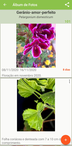 Jardim no APP Screen 3