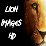 Cover Image of Tải xuống lion images hd 1 APK