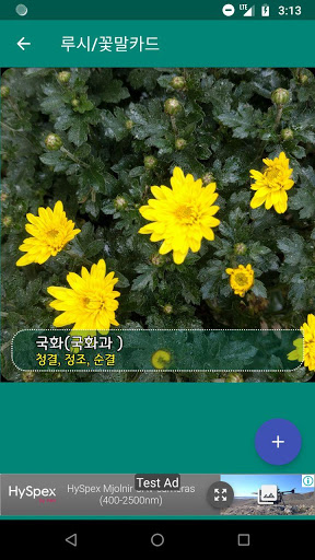 루시 Screen 3