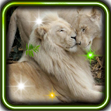 Cool Lion Predator 2015 icon