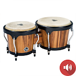 Cover Image of Download Bongo Drum Sounds  APK