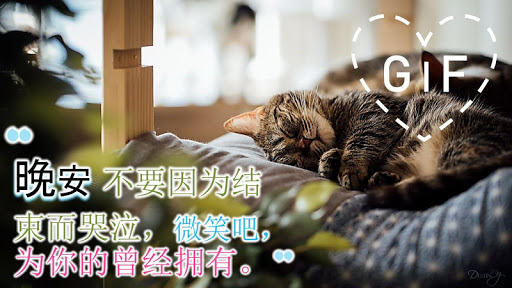 Good Night Gifs in Chinese