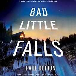 Icon image Bad Little Falls: A Novel