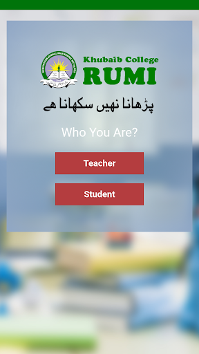 Khubaib College Rumi