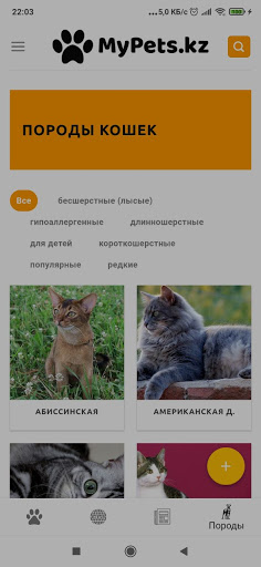 MyPets.kz Screen 3