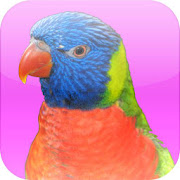Animal Sounds with Photos 4.0 Icon