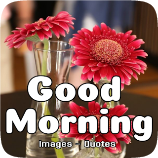 Good Morning Images 2024