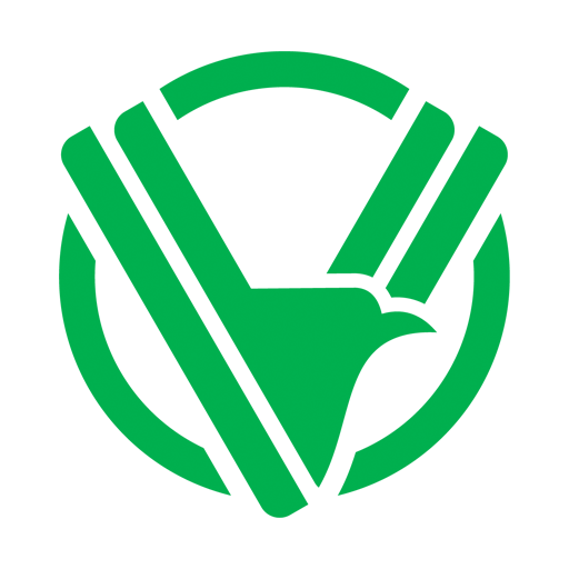 Visão Assessoria logo